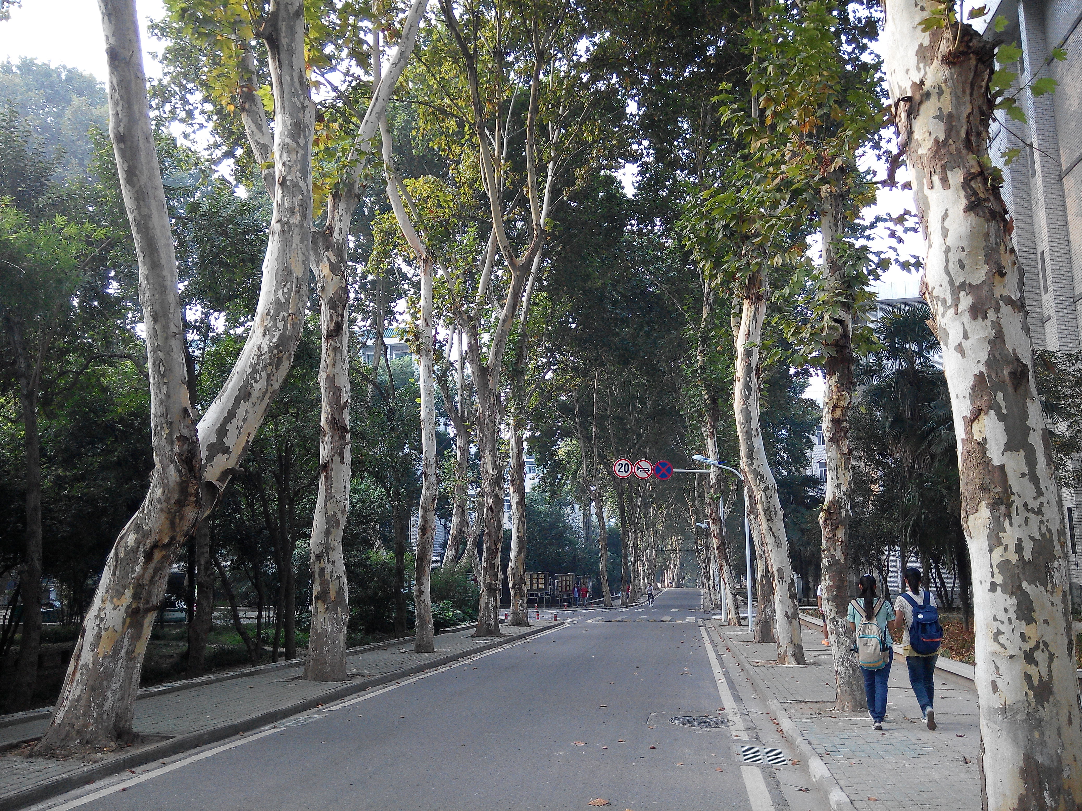 جامعة ووهان للتكنولوجيا حرم جامعي